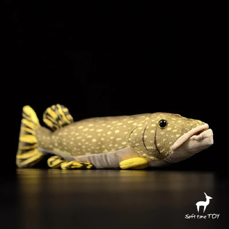 моделирование животного 45 см Щуки рыба Амур пикк милая рыбка плюшевая игрушка мягкая кукла детская игрушка подарок на день рождения h2211